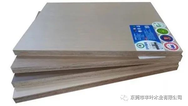 1706088957293816.jpg