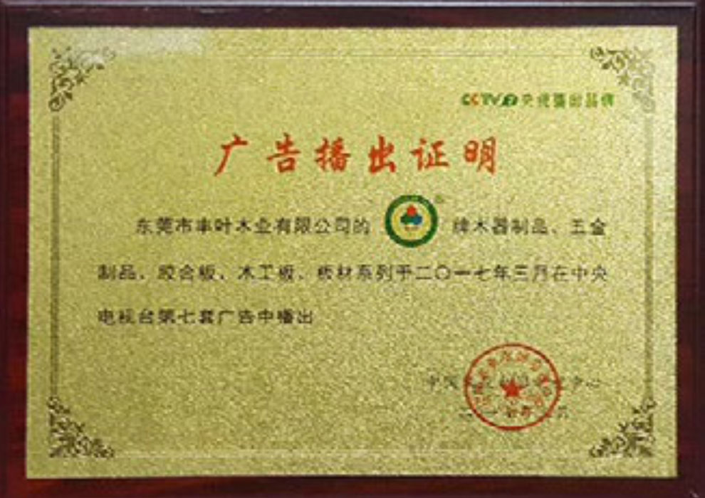 广告播出证明